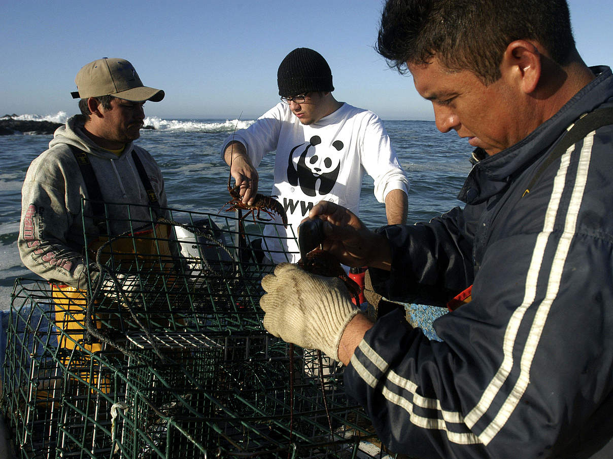 MSC-zertifizierte Fischer © Gustavo Ybarra / WWF