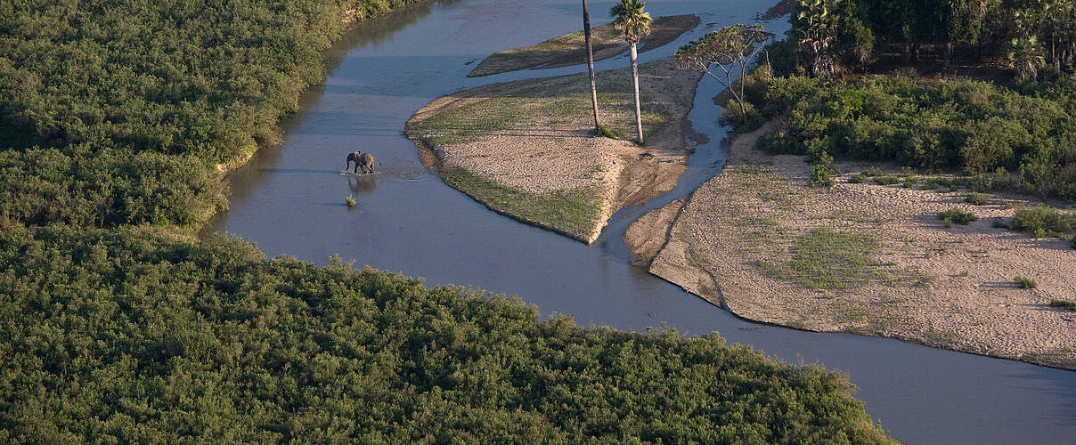 Ein Elefant durchquert einen Fluss im Selous © Michael Poliza / WWF