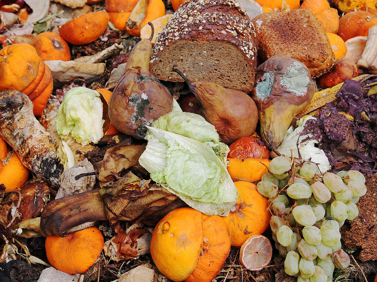 Lebensmittelverschwendung: Abfälle reduzieren