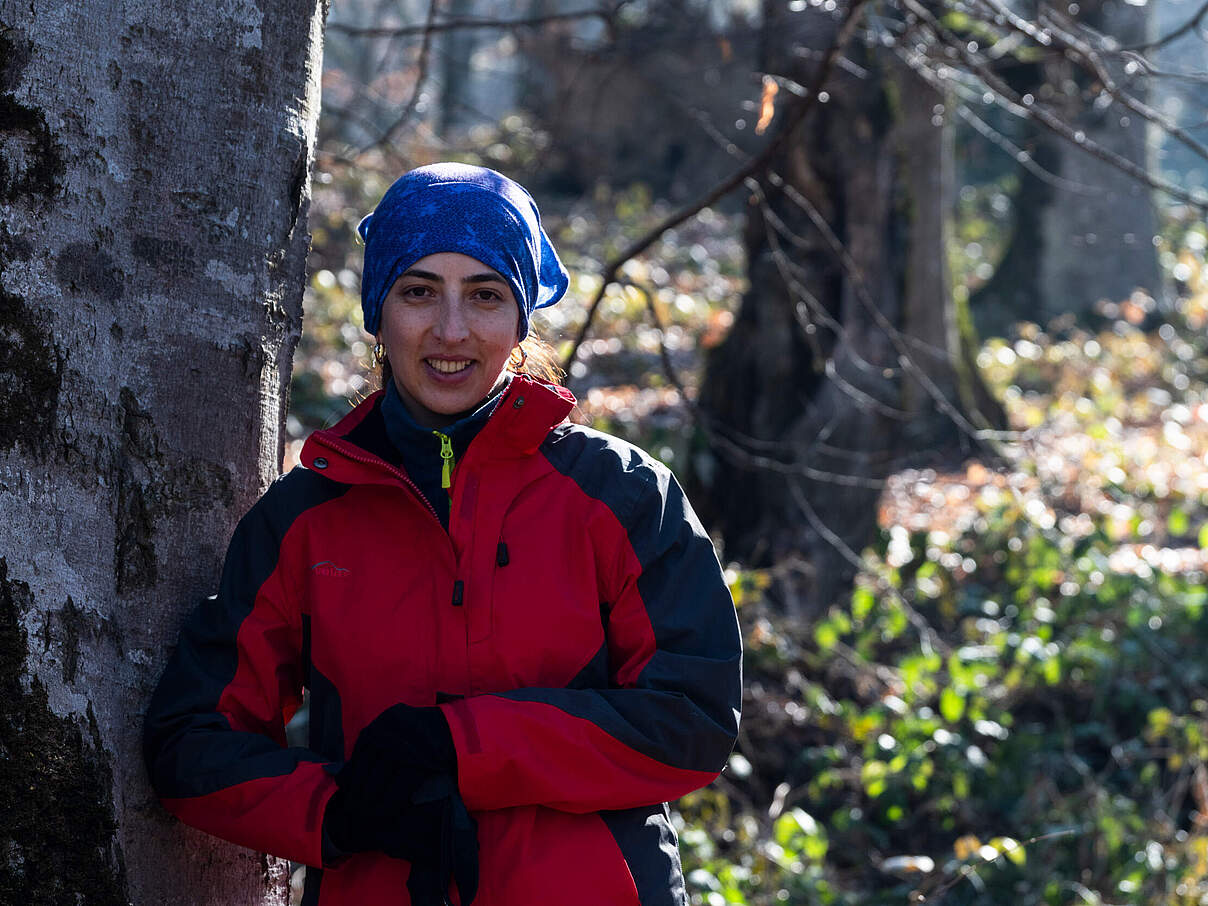 Zeynab Khalilova, Leiterin des Wisent-Wiederansiedlungsprojekts im Shahdag-Nationalpark © Emil Khalilov / WWF