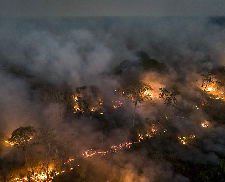 Brennender Wald im Amazonas (Porto Velho) © Andre Dib / WWF Brazil