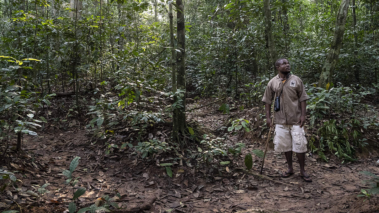 Gorilla Tracker aus dem Volk der BaAka in Dzanga-Sangha © Andy Isaacson / WWF-US