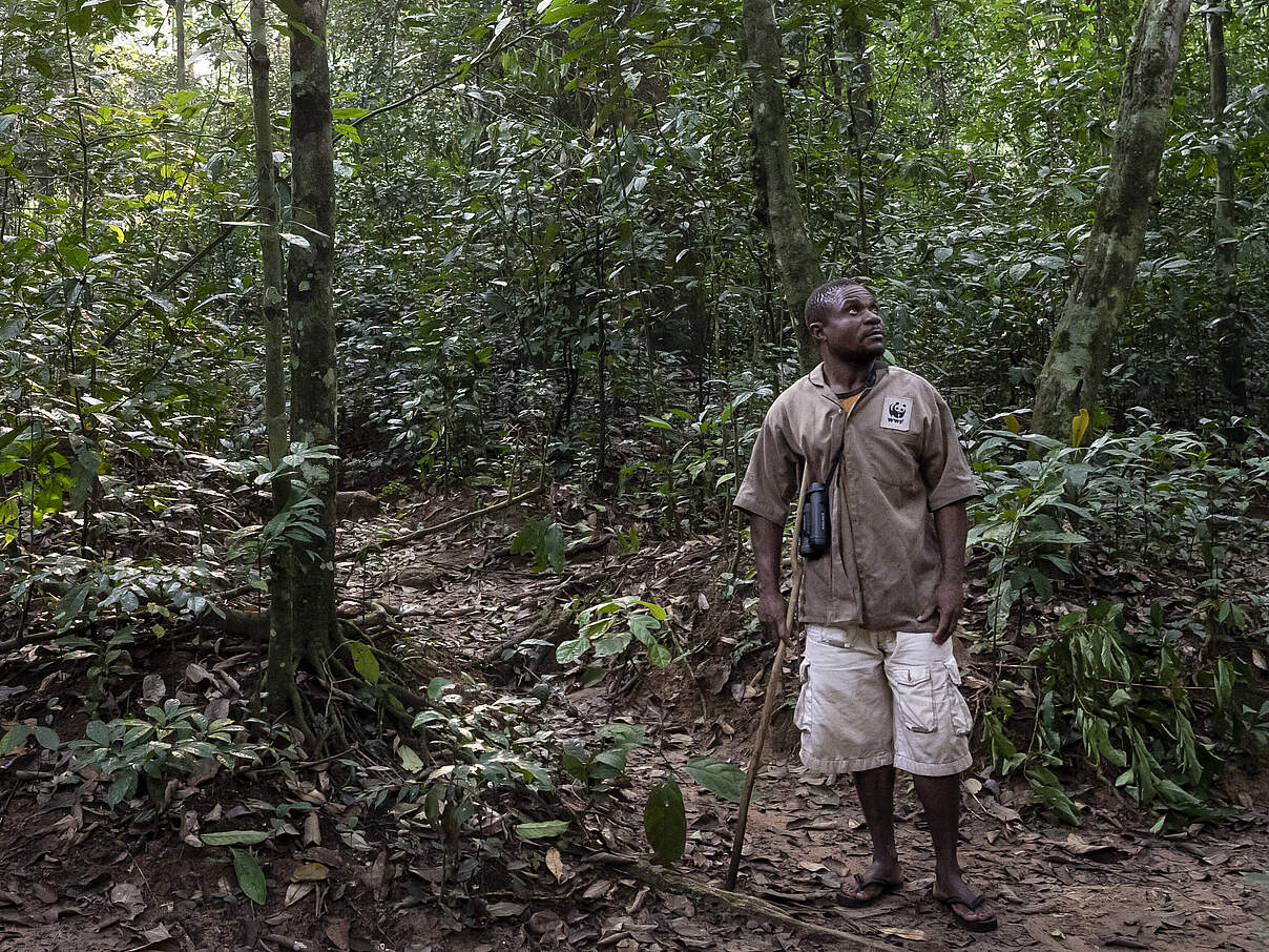 Gorilla Tracker aus dem Volk der BaAka in Dzanga-Sangha © Andy Isaacson / WWF-US