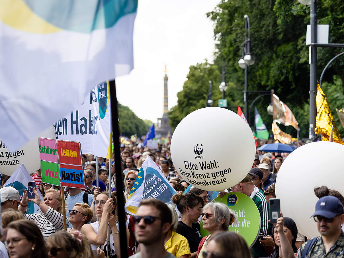 Insgesamt waren 240.000 Menschen bei den Demos gegen Rechts auf den Beinen © Jöry Farys / WWF Deutschland