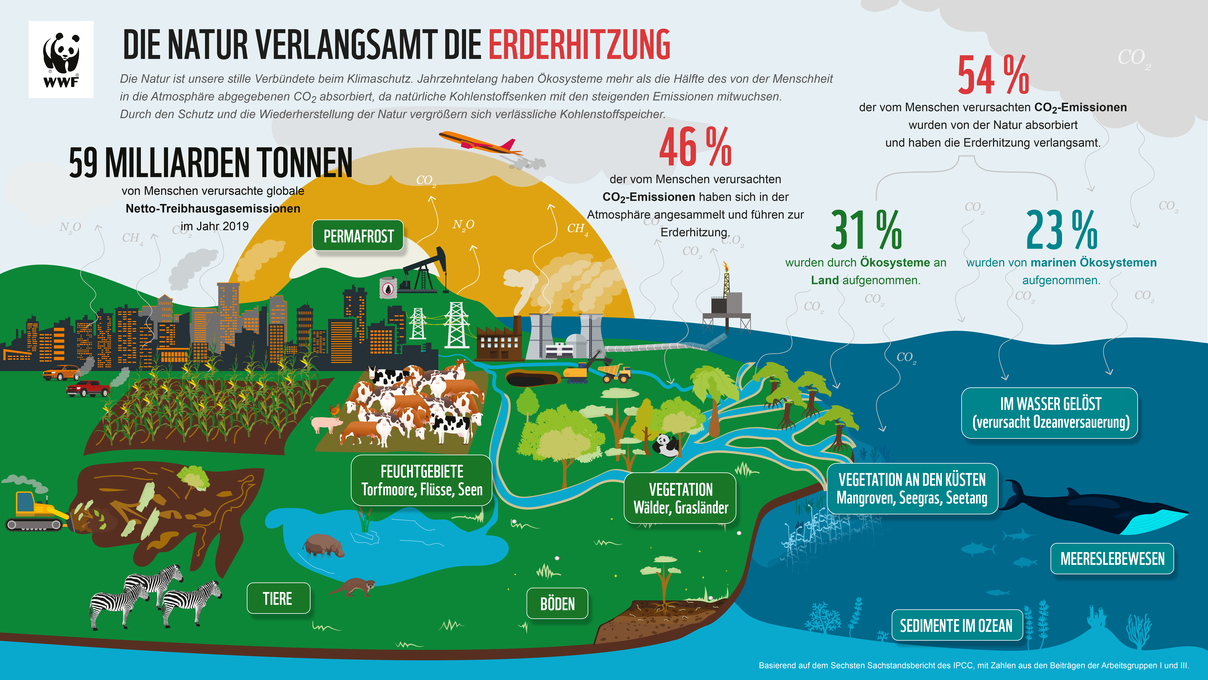 Weltklimarat Läutet Alarmglocken: Klimakrise Ist Jetzt!