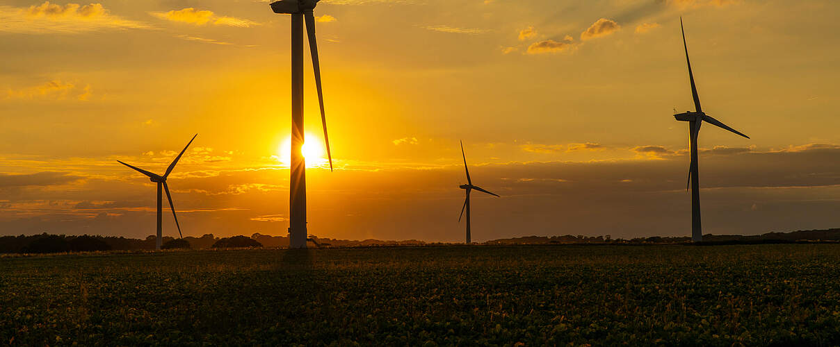 Windkraftanlage © Greg Armfield / WWF -UK