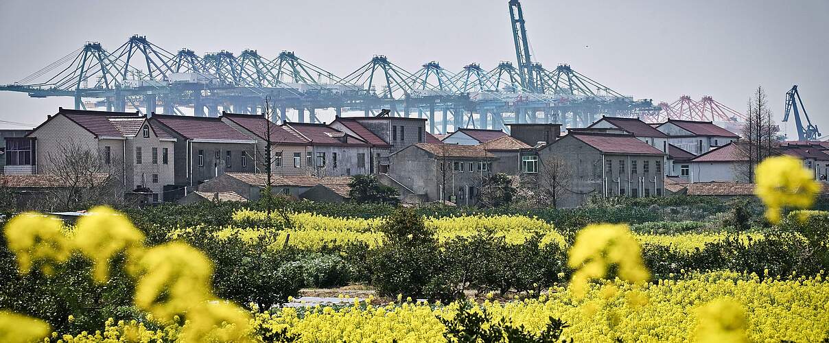 Rapsfeld vor Fabrik © Justin Jin / WWF-US