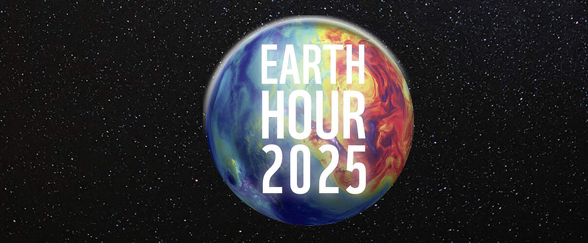 Earth Hour 2025 Key Visual © WWF