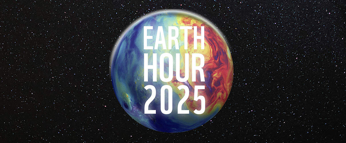 Earth Hour 2025 Key Visual © WWF