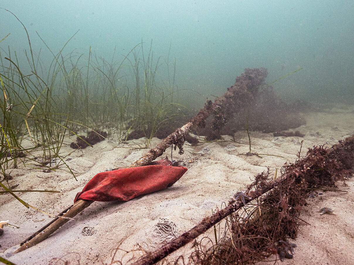 Stellnetz-Markierung eines abgerissenen Netzes am Ostseegrund © Christian Howe / WWF