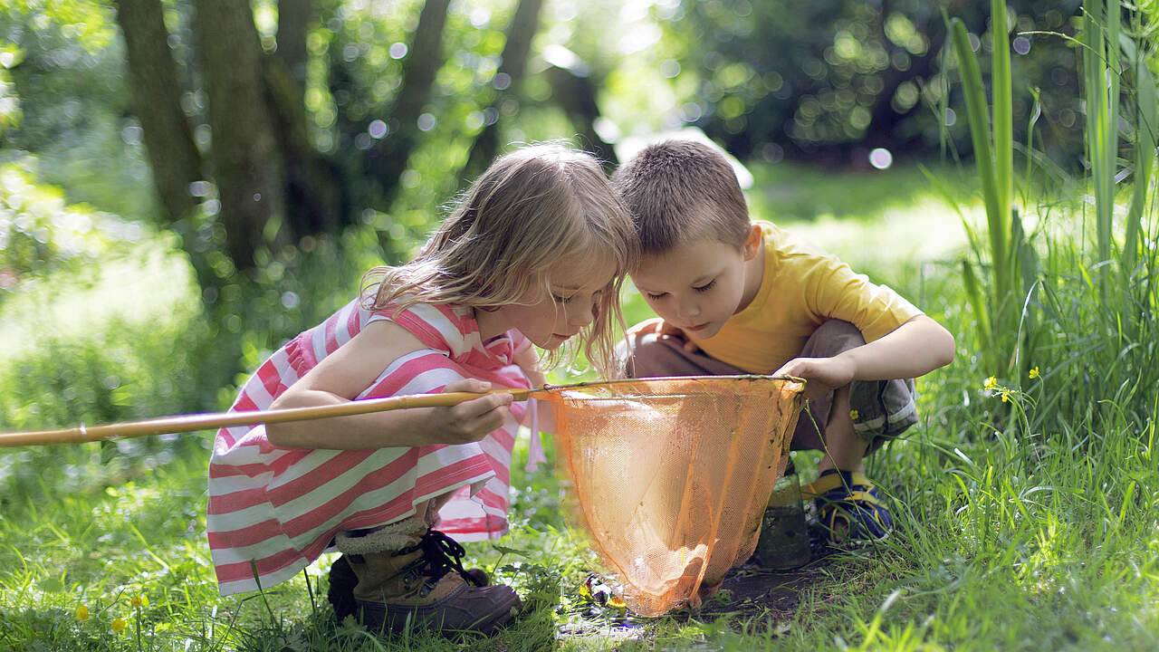 Kinder erleben die Natur mit allen Sinnen © SolStock / GettyImages