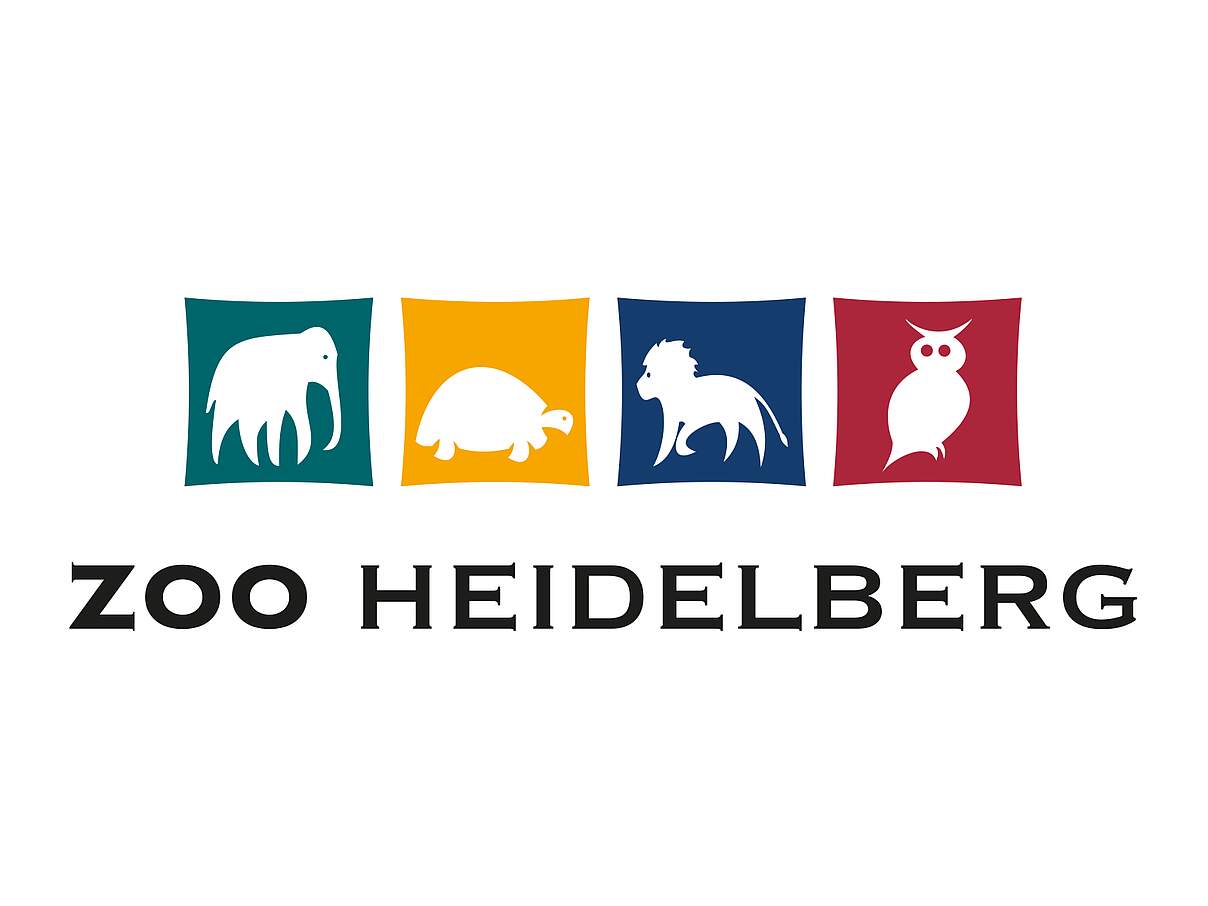 © Zoo Heidelberg