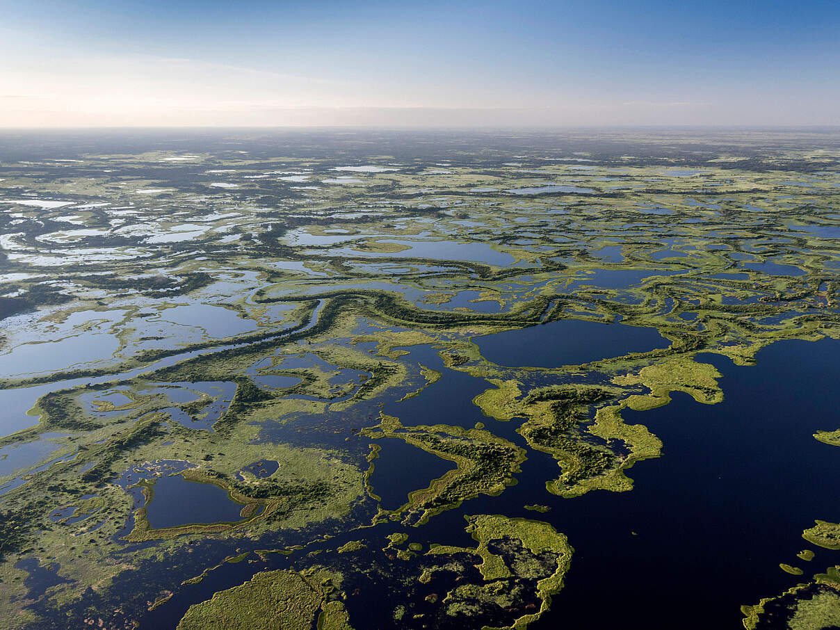 Pantanal Matogrossense Nationalpark © Andre Dib / WWF Brasilien