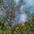 Feuer im Pantanal 2020 © Silas Ismael / WWF Brazil