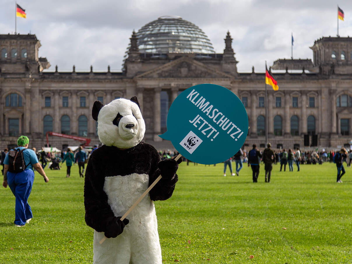 Ein Mensch im Pandakostüm hält beim Klimastreik im September 2021 in Berlin ein Schild mit der Aufschrift "Klimaschutz jetzt!". © Markus Winkler / WWF