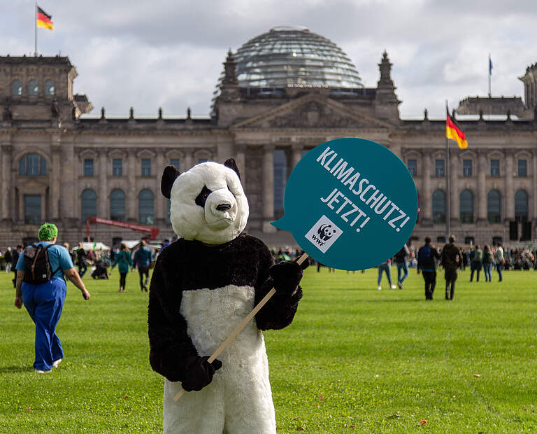 Ein Mensch im Pandakostüm hält beim Klimastreik im September 2021 in Berlin ein Schild mit der Aufschrift "Klimaschutz jetzt!". © Markus Winkler / WWF