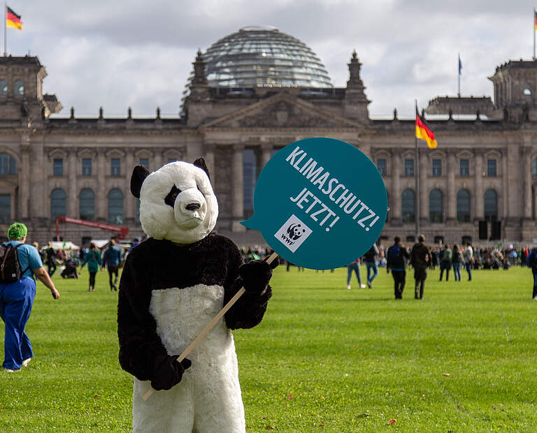 Ein Mensch im Pandakostüm hält beim Klimastreik im September 2021 in Berlin ein Schild mit der Aufschrift "Klimaschutz jetzt!". © Markus Winkler / WWF