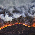 Amazonas in Flammen © Day´s Edge Productions / WWF-US