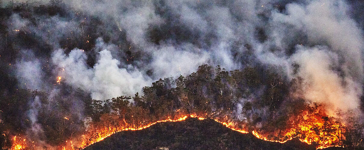 Amazonas in Flammen © Day´s Edge Productions / WWF-US