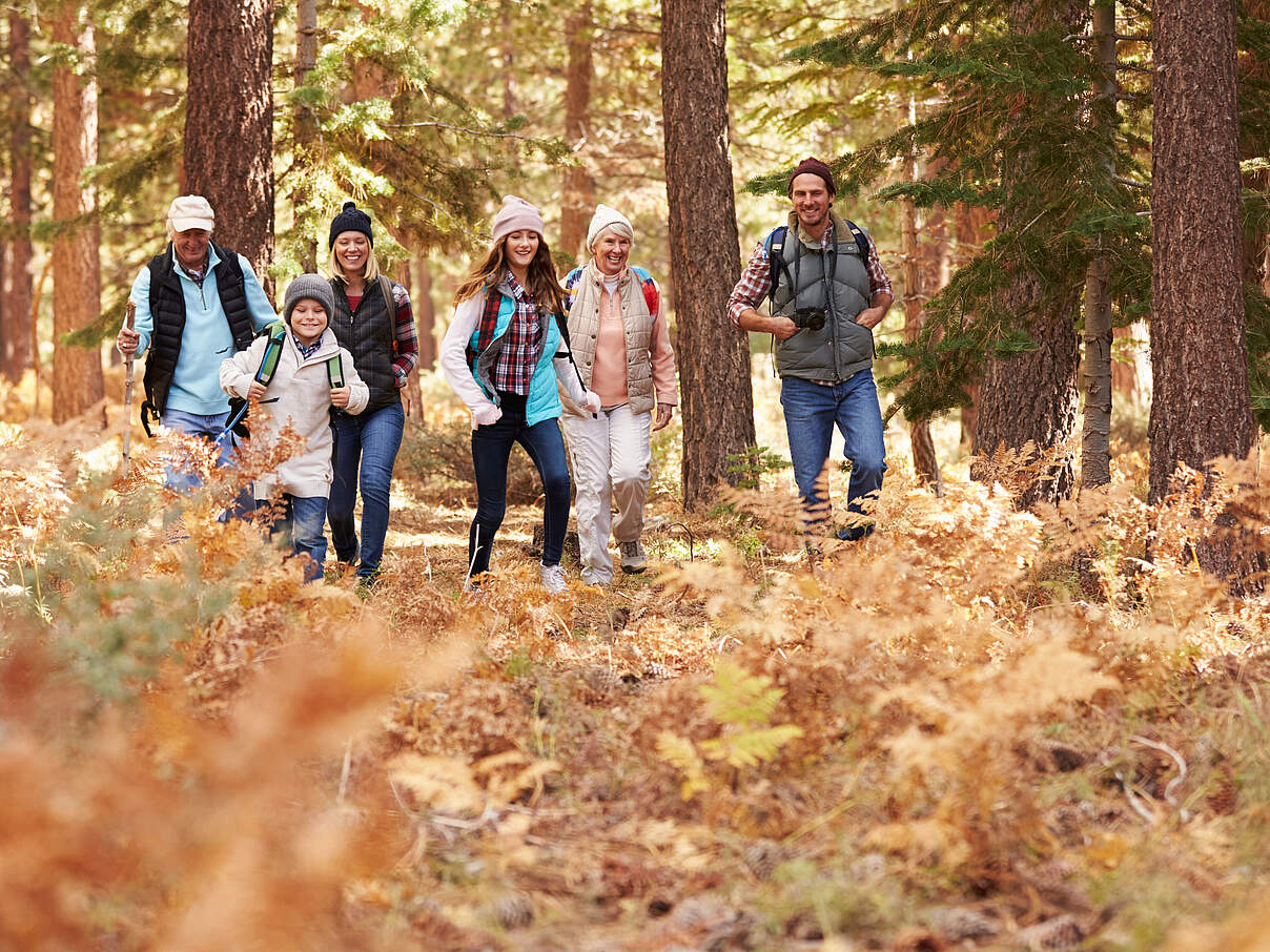 Familie beim Spaziergang im herbstlichen Wald © iStock / GettyImages 