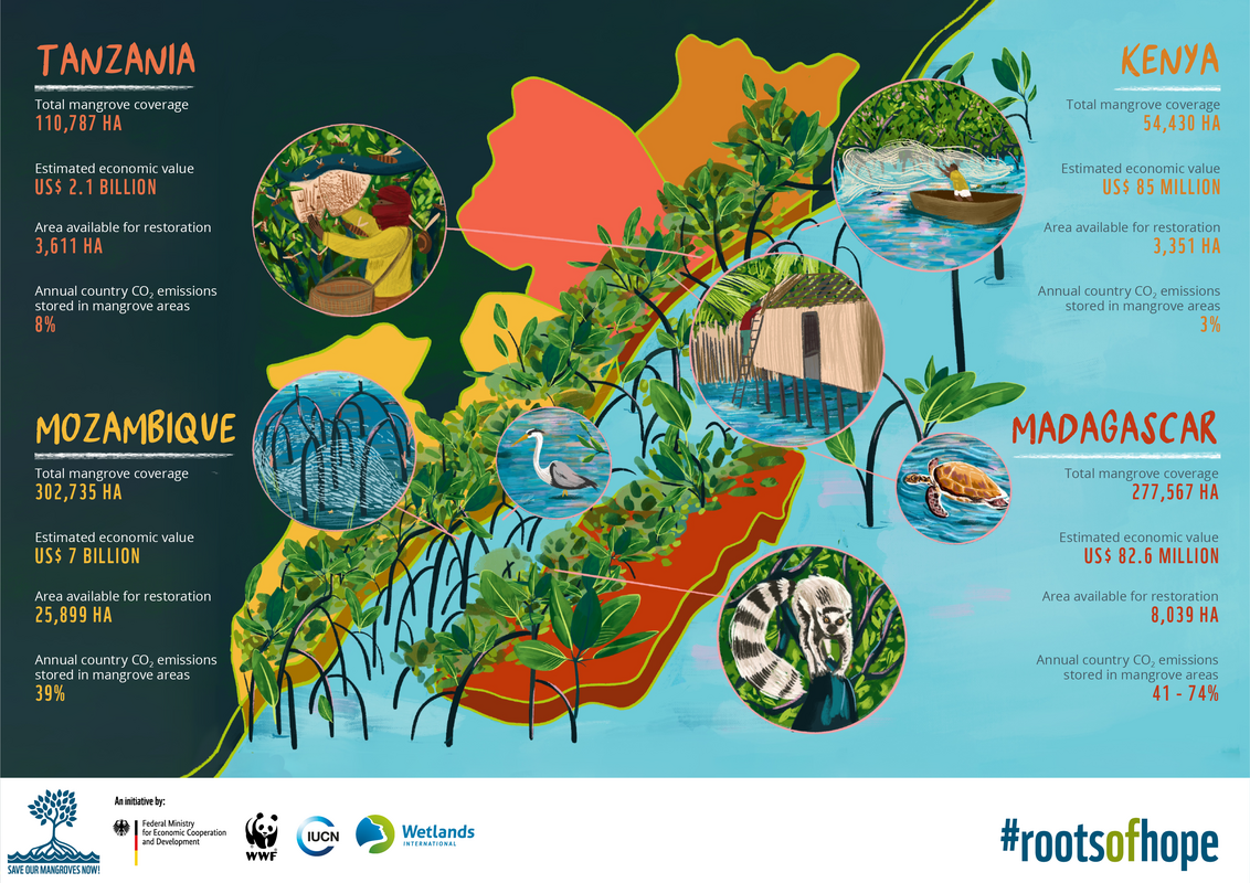 Infografik: „Save Our Mangroves Now!“ im Westlichen Indischen Ozean © WWF