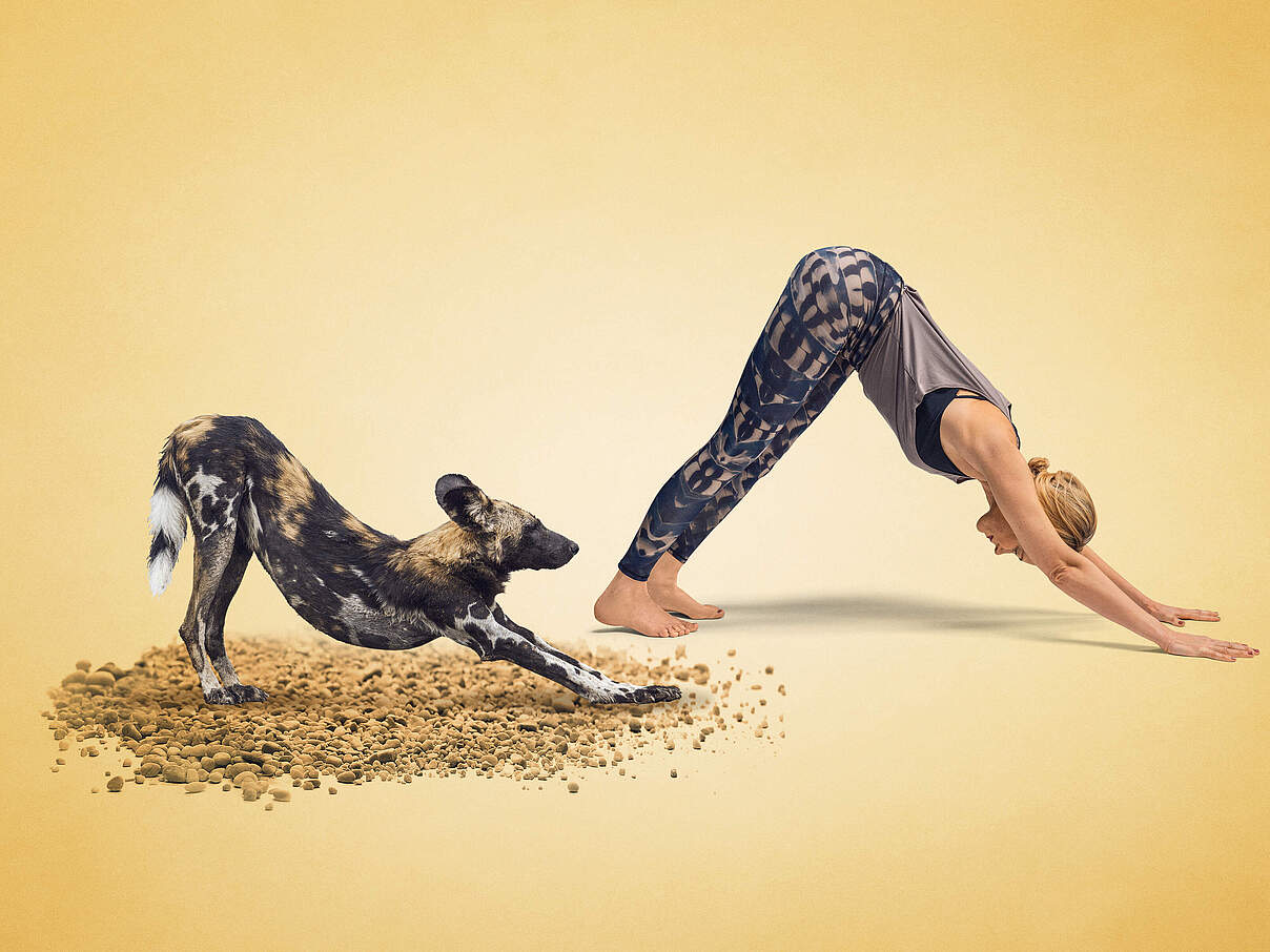 Yoga für Artenvielfalt: Annika Isterling macht den Hund für den Hund © WWF