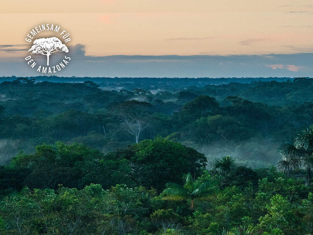 Das Blätterdach des Amazonas in Kolumbien © Luis Barreto / WWF UK