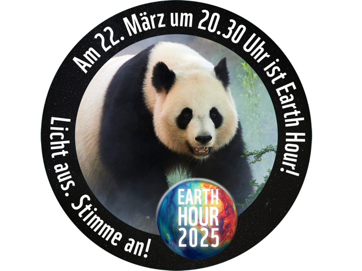 Earth Hour 2025 Profilbildgenerator © WWF