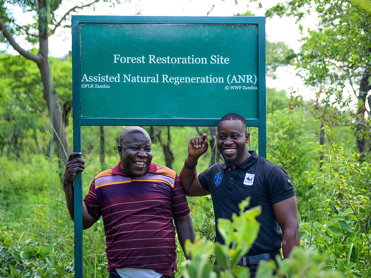 WWF-Mitarbeiter im Gemeindewald, Sambia © Jana Kanig / WWF