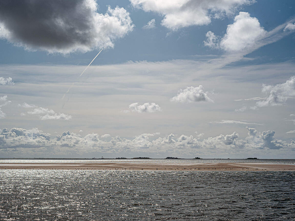 Wattenmeerküste © Claudi Nir / WWF